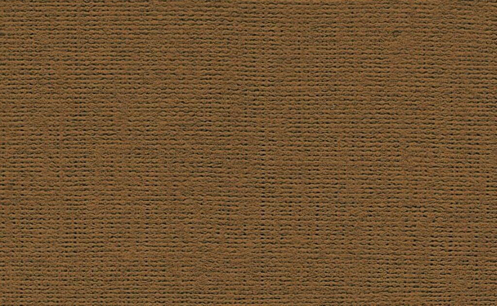 Бумага для пастели (700х1000 мм) 10л. 160г/м2 Палаццо "Cinnamon", корица