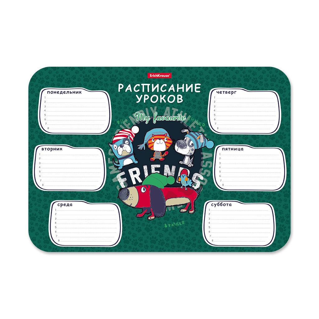 Расписание уроков пиши-стирай А4 "Adventure Friends", пластиковое 0,4мм