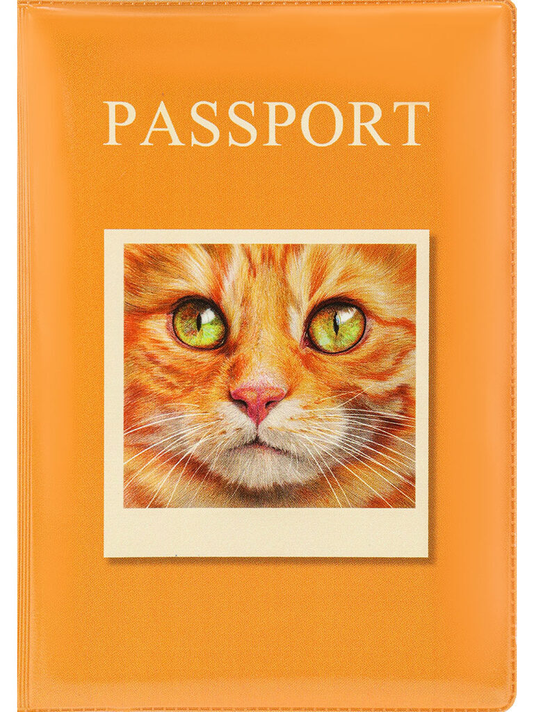 Обложка для паспорта "Рыжий котик" ПВХ