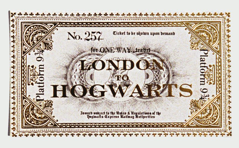 Обложка для пропуска/проездного "Гарри Поттер.Билет", 21*6см, ПВХ , на 2 карты